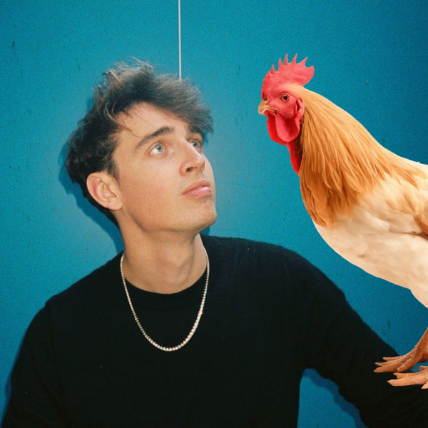 Chicken Coop logo